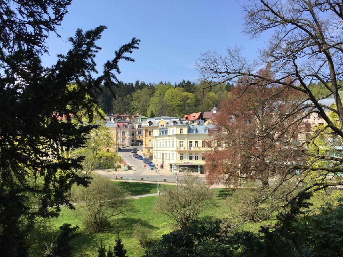 Apartmany Dagmar マリアーンスケー・ラーズニェ エクステリア 写真